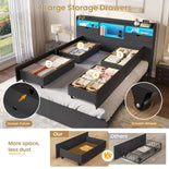 DICTAC | Platform Bed Frame with Storage Drawers, Bookcase Headboard, LED Lights & Charging Station (Queen/King/California King, Black)
