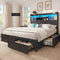DICTAC Farmhouse Bed Frame with 6 Storage Drawers, Bookcase Headboard, LED Lights & Charging Station