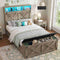 DICTAC | Farmhouse Bed Frame with Storage Headboard, LED Lights & Charging Station, Wood Platform Bed with Storage Ottoman for Kids & Teens, Oak Gray