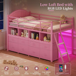 DICTAC | Twin Low Loft Bed with 8 Storage Drawers, 4 Bookshelves, LED Lights & Play Space for Kids